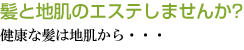 ���ƒn���̃G�X�e���܂���?���N�Ȕ��͒n������E�E�E